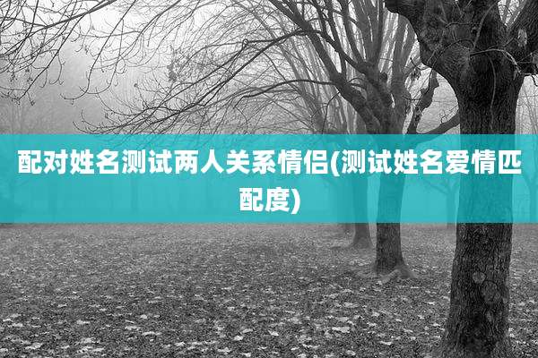 配对姓名测试两人关系情侣(测试姓名爱情匹配度)