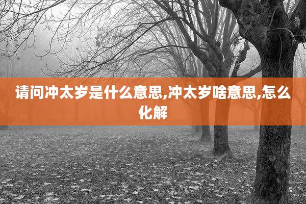 请问冲太岁是什么意思,冲太岁啥意思,怎么化解