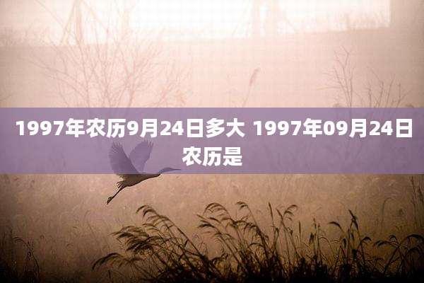 1997年农历9月24日多大 1997年09月24日农历是