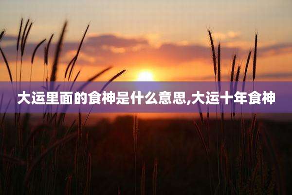 大运里面的食神是什么意思,大运十年食神
