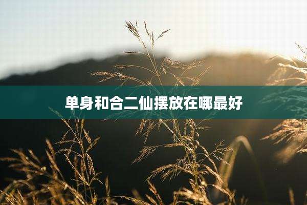 单身和合二仙摆放在哪最好