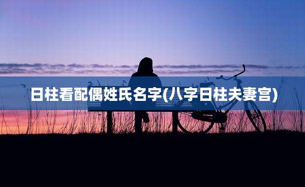 日柱看配偶姓氏名字(八字日柱夫妻宫)