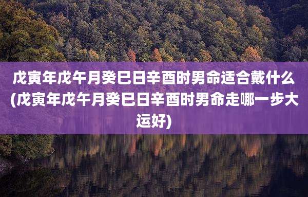 戊寅年戊午月癸巳日辛酉时男命适合戴什么(戊寅年戊午月癸巳日辛酉时男命走哪一步大运好)