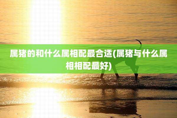 属猪的和什么属相配最合适(属猪与什么属相相配最好)