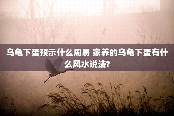乌龟下蛋预示什么周易 家养的乌龟下蛋有什么风水说法?
