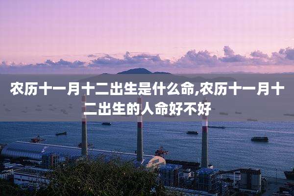 农历十一月十二出生是什么命,农历十一月十二出生的人命好不好
