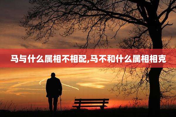 马与什么属相不相配,马不和什么属相相克