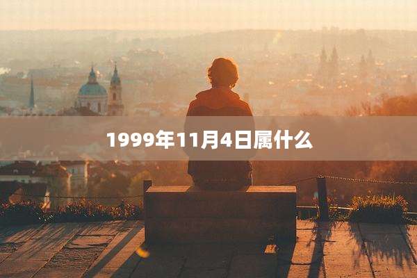 1999年11月4日属什么