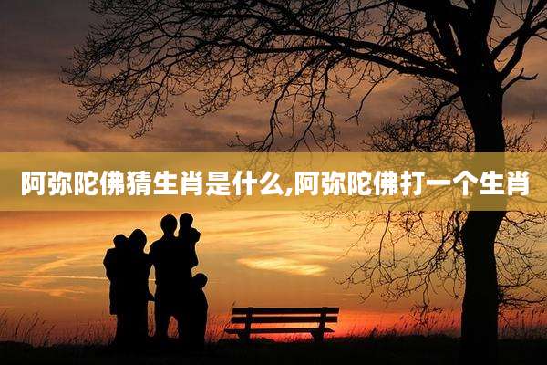 阿弥陀佛猜生肖是什么,阿弥陀佛打一个生肖
