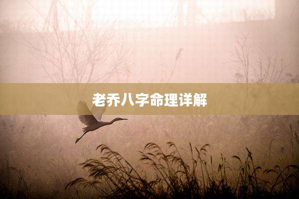 老乔八字命理详解