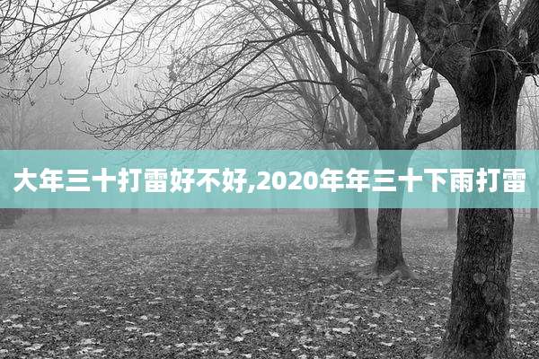 大年三十打雷好不好,2020年年三十下雨打雷