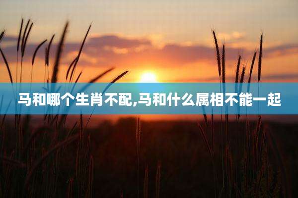 马和哪个生肖不配,马和什么属相不能一起
