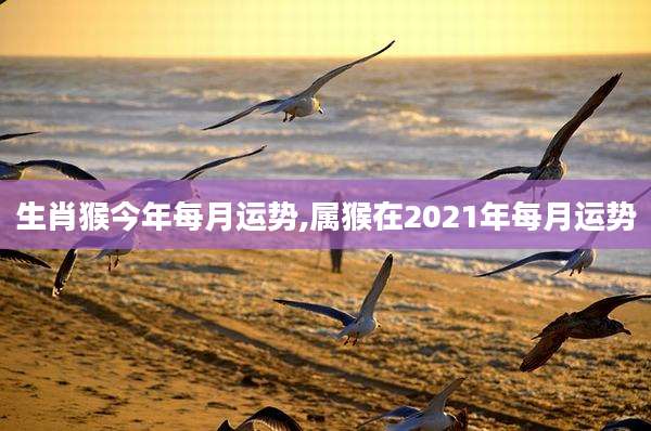 生肖猴今年每月运势,属猴在2021年每月运势