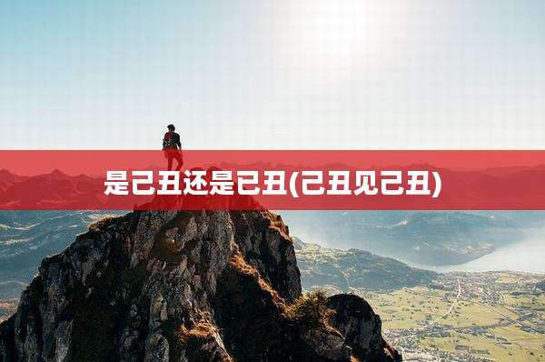 是己丑还是已丑(己丑见己丑)