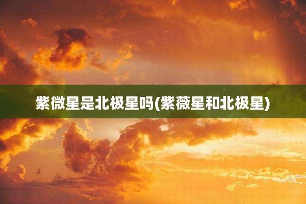 紫微星是北极星吗(紫薇星和北极星)