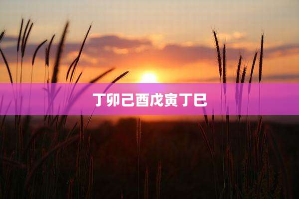 丁卯己酉戊寅丁巳
