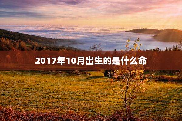 2017年10月出生的是什么命