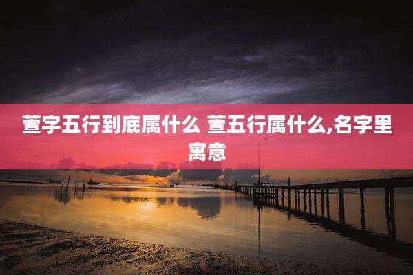 萱字五行到底属什么 萱五行属什么,名字里寓意