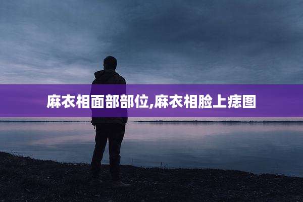 麻衣相面部部位,麻衣相脸上痣图