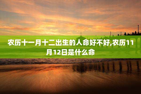 农历十一月十二出生的人命好不好,农历11月12日是什么命