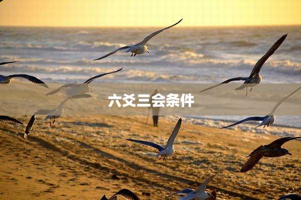六爻三会条件