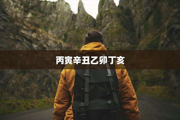 丙寅辛丑乙卯丁亥