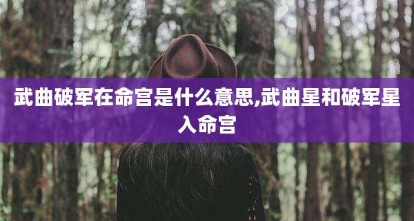 武曲破军在命宫是什么意思,武曲星和破军星入命宫