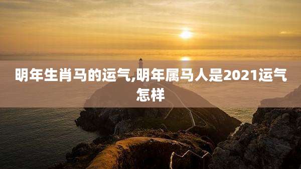 明年生肖马的运气,明年属马人是2021运气怎样