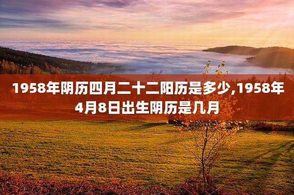 1958年阴历四月二十二阳历是多少,1958年4月8日出生阴历是几月