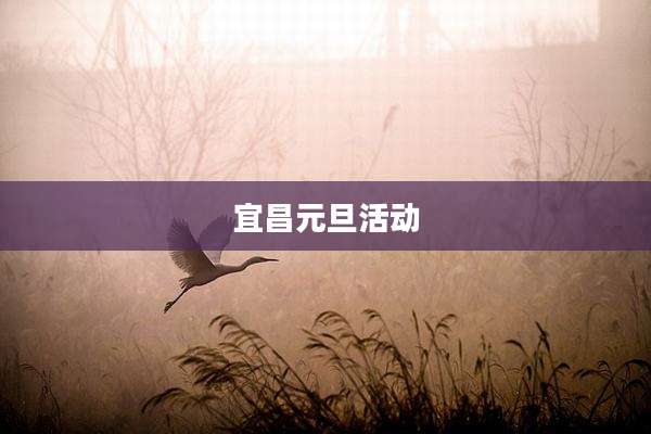 宜昌元旦活动