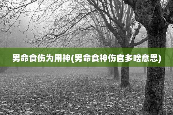 男命食伤为用神(男命食神伤官多啥意思)