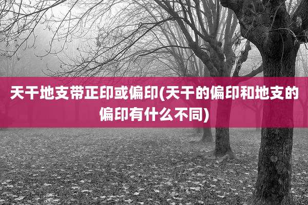 天干地支带正印或偏印(天干的偏印和地支的偏印有什么不同)