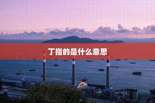 丁指的是什么意思