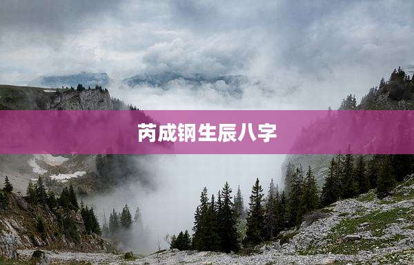芮成钢生辰八字