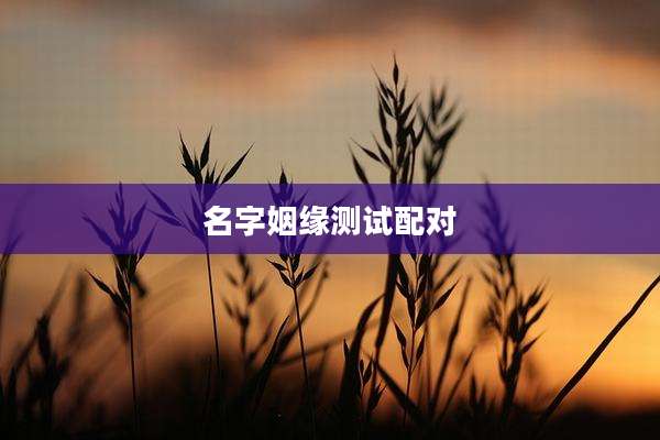 名字姻缘测试配对