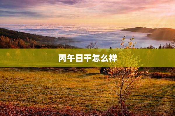 丙午日干怎么样