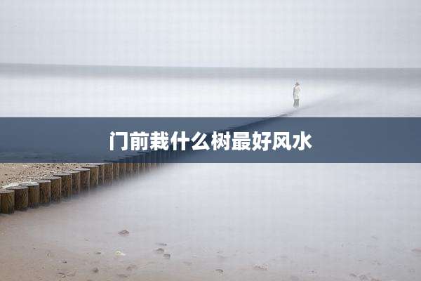 门前栽什么树最好风水