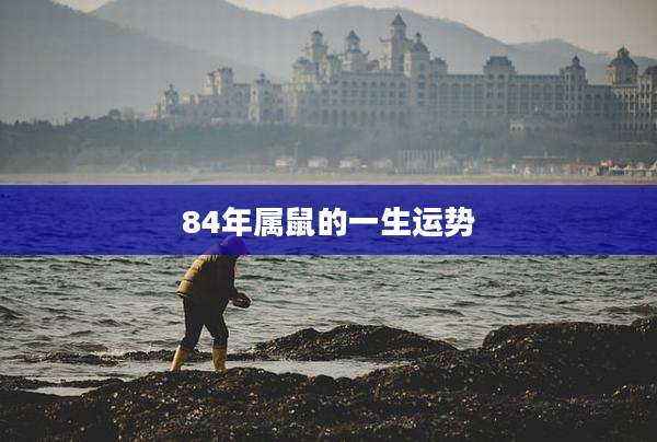 84年属鼠的一生运势