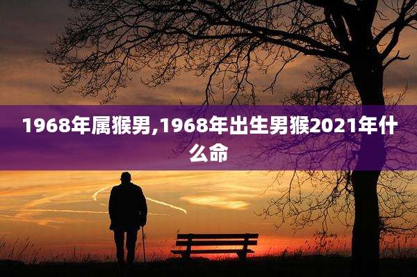 1968年属猴男,1968年出生男猴2021年什么命