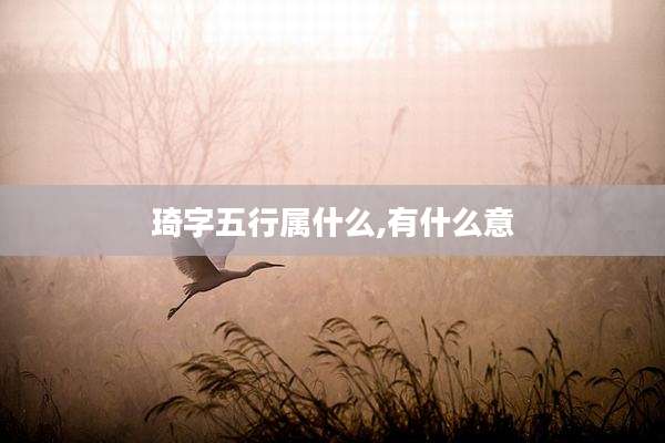 琦字五行属什么,有什么意