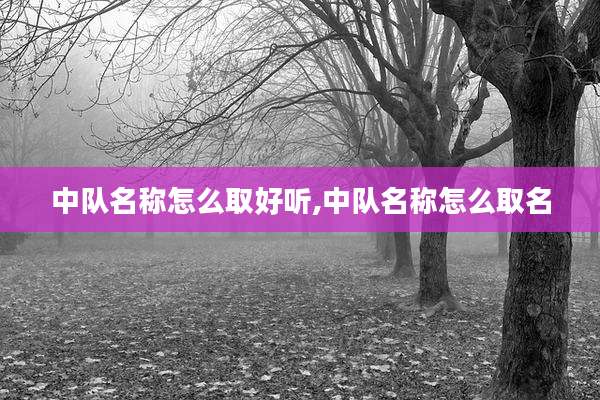 中队名称怎么取好听,中队名称怎么取名