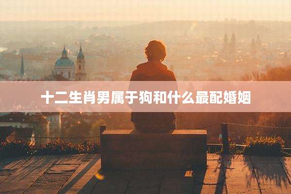 十二生肖男属于狗和什么最配婚姻