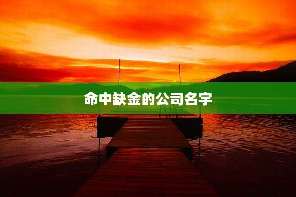 命中缺金的公司名字