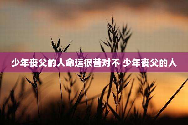 少年丧父的人命运很苦对不 少年丧父的人