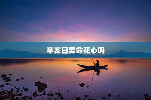 辛亥日男命花心吗
