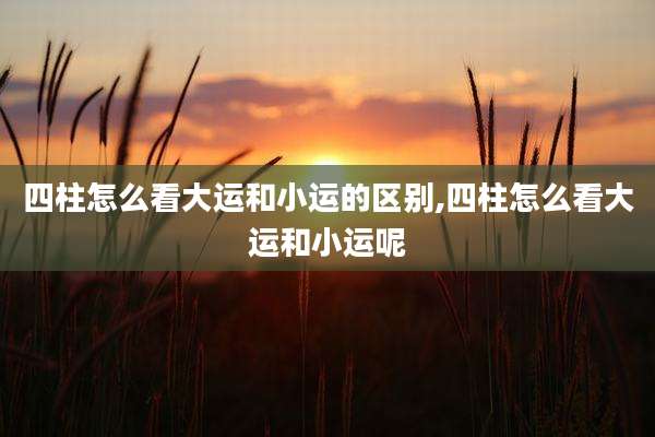 四柱怎么看大运和小运的区别,四柱怎么看大运和小运呢