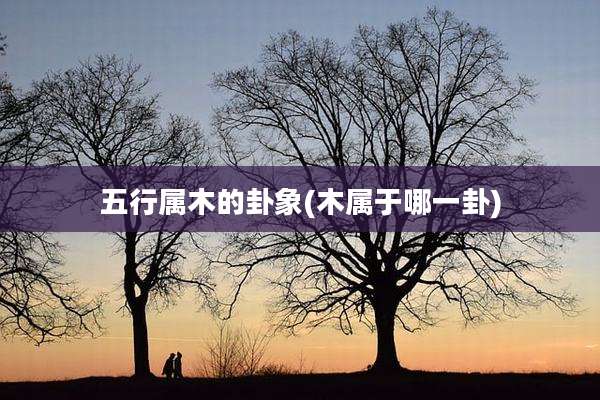 五行属木的卦象(木属于哪一卦)