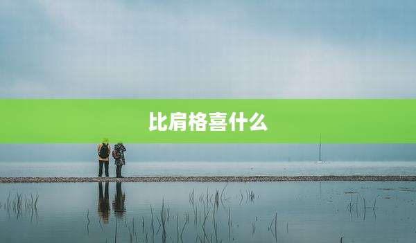 比肩格喜什么