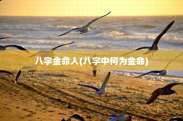八字金命人(八字中何为金命)