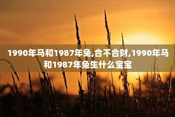 1990年马和1987年兔,合不合财,1990年马和1987年兔生什么宝宝